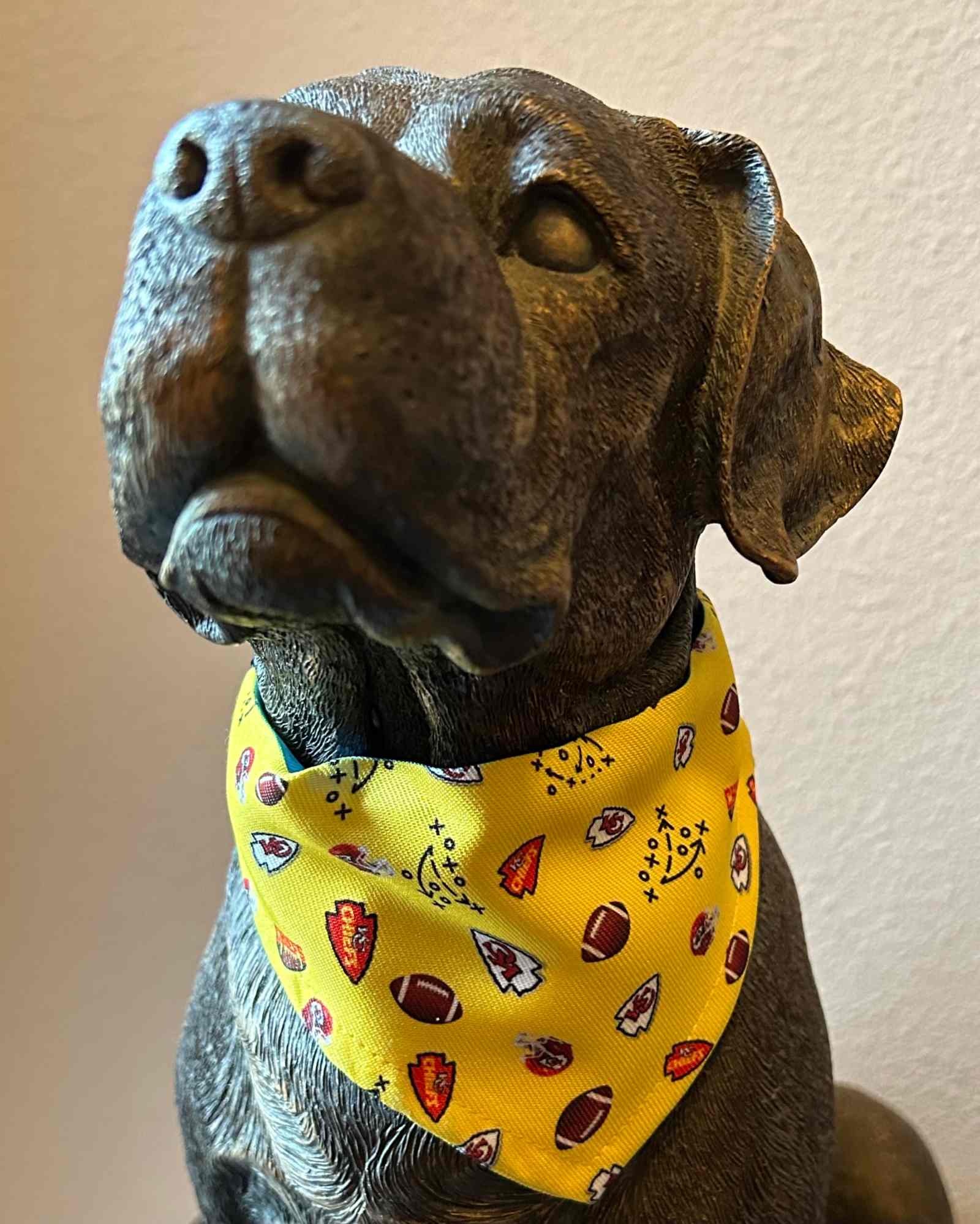 Pet Bandanas-Custom Designing Available