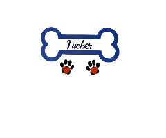 Pet Bandanas-Custom Designing