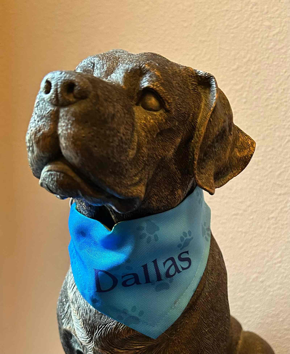 Pet Bandanas-Custom Designing Available