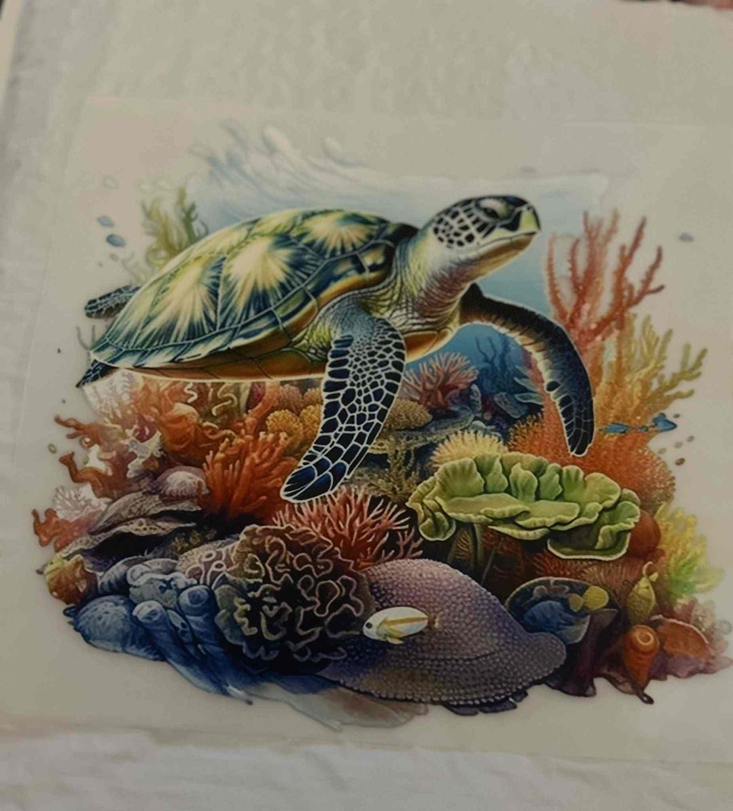 Sea turtle animal design with coral reef background.