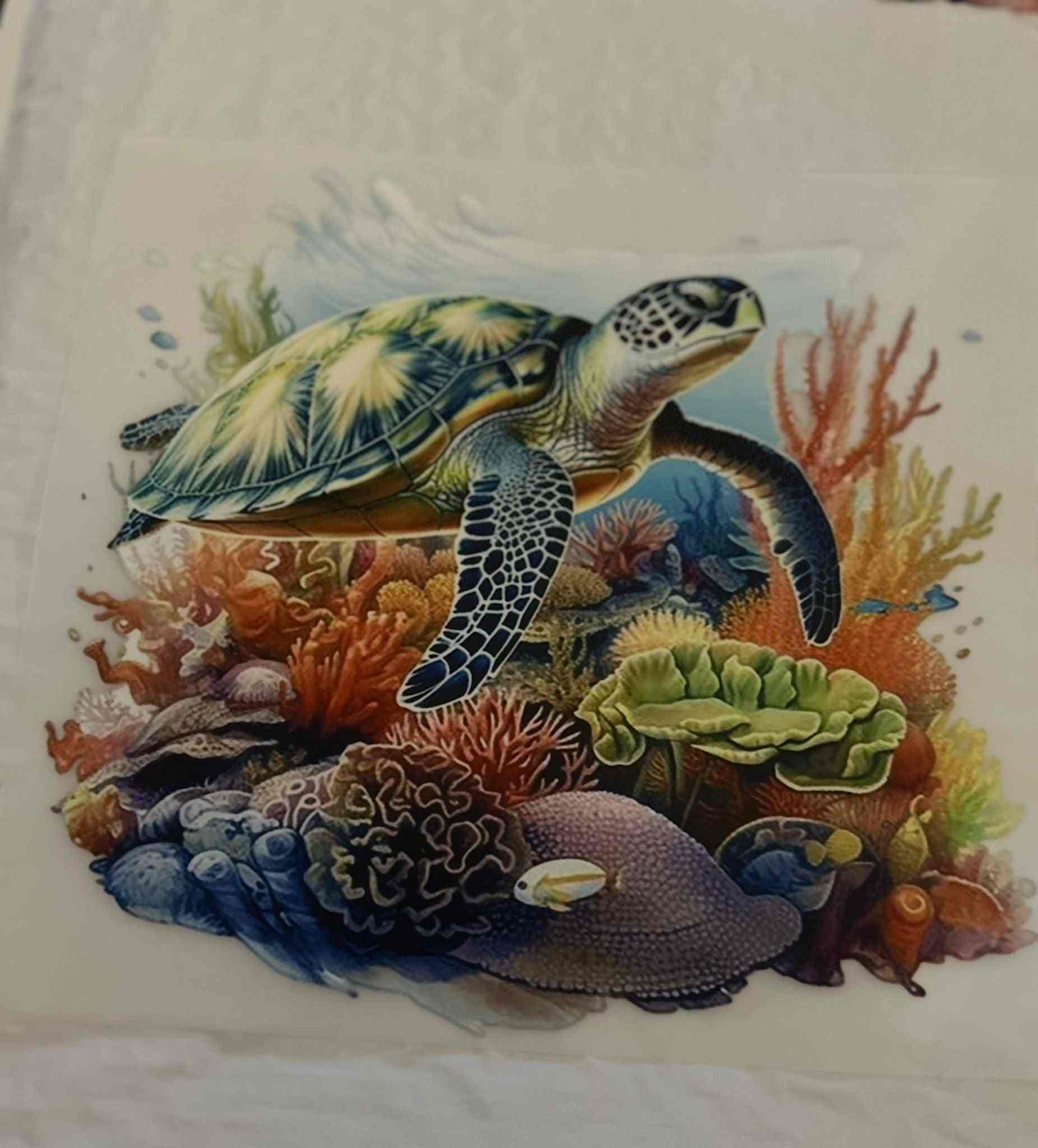 Sea turtle animal design with coral reef background.