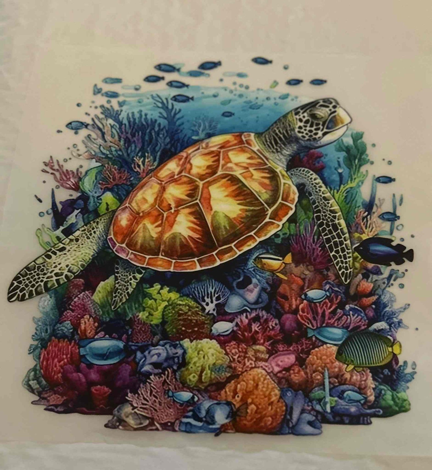 sea turtle design with coral reef illustration